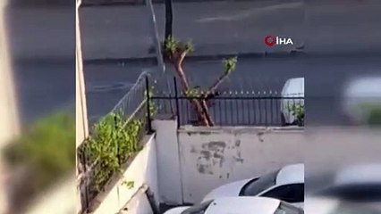 İstanbul'da güpegündüz av tüfeği ile dehşet saçtı