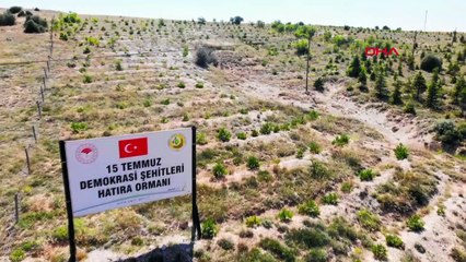15 Temmuz Şehitleri ve Demokrasi Hatıra Ormanları