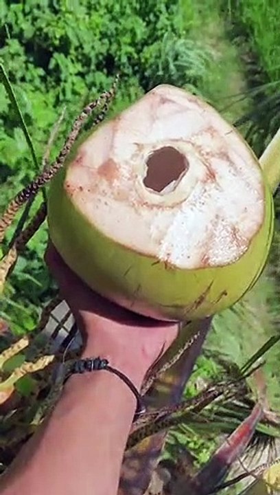 such beautiful nature