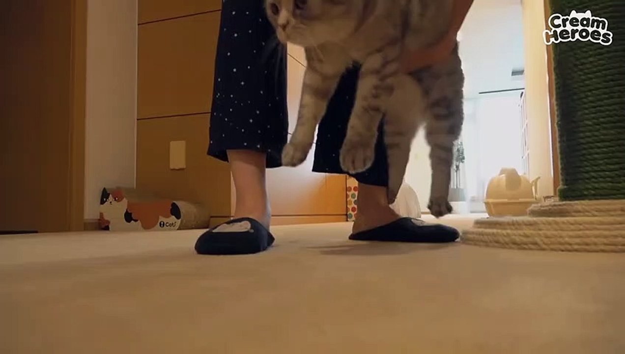 (ENG SUB) Kitty Got REALLY Angry