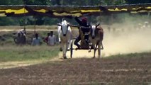 1No. का जोड़ा  Indian Bailgada Race  Barghati  Pat Video ❤ Pat Pratiyogita ✌ Barghati Bhaiya