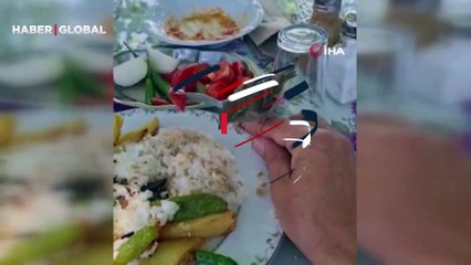 Serçe ile sohbet edip beraber yemek yiyen vatandaşın görüntüleri büyük beğeni topladı