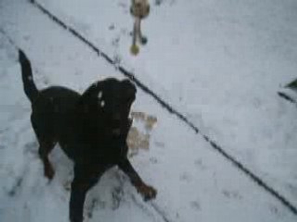 Taylor dans le neige - Copie