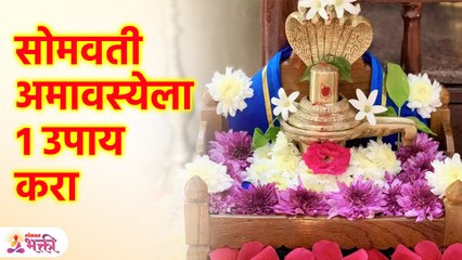 पितृदोष, कालसर्प दोषमुक्ती साठी 'सोमवती अमावस्येला' कोणताही १ उपाय नक्की करा, Somwati Amavasya | SG3