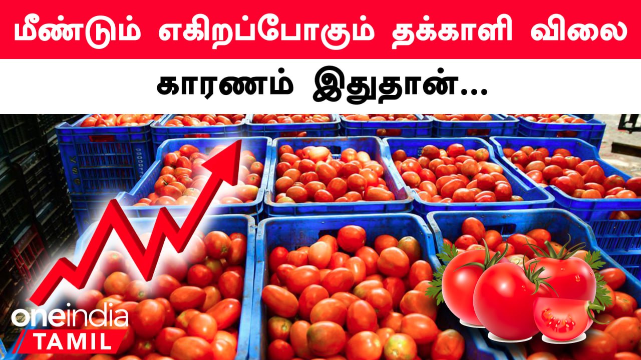 Tomato Price Hike | Koyambedu Market-ல் இன்று எகிறப்போகும் தக்காளி விலை