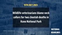 Headlines: Wildlife veterinarians blame neck collars for two cheetah deaths in Kuno National Park
