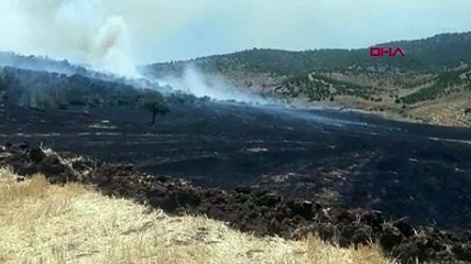Kahramanmaraş'ta orman yangını