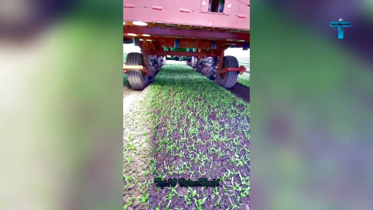 UNBELIEVABLE MOMENTS CAUGHT ON CAMERA #11