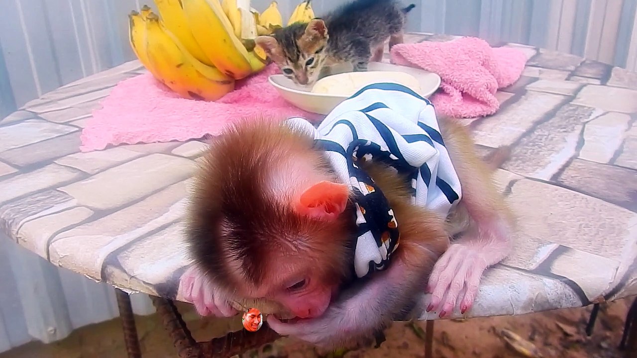 Little Luna Can Use Her Small Teeth To Eat Banana