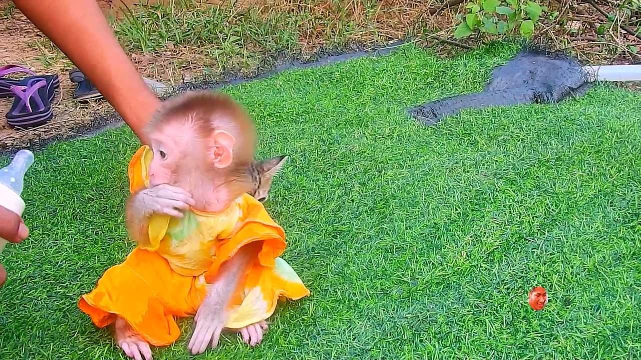 Daddy Why Massage Luna So Good