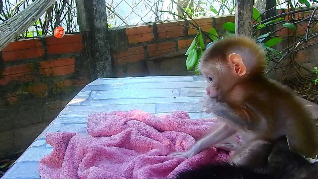 Baby Luna Cry Until Vomiting Cos Angry LUNC