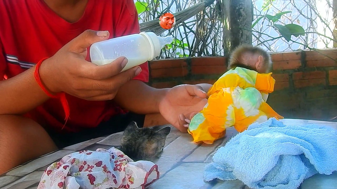 After Hard Play Luna Drink Milk A lot