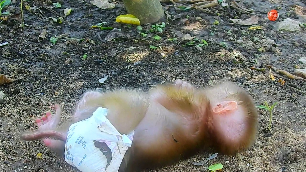 LUNC My Heart Is Broken ..!! Luna Hate You .. So Pity LUNC