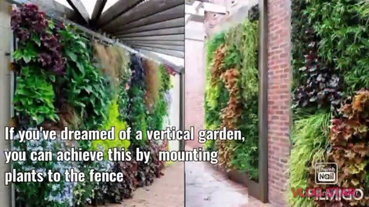 Unlock Your Gardening Potential with 15 Budget-Friendly DIY Garden Hacks I Home Hacks & Remedies