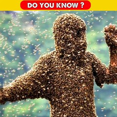 Mind Blowing Facts About Animals   Crazy Facts  Amazing Facts in Hindi shorts facts 720p