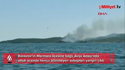 Avşa Adası'nda otluk arazide yangını