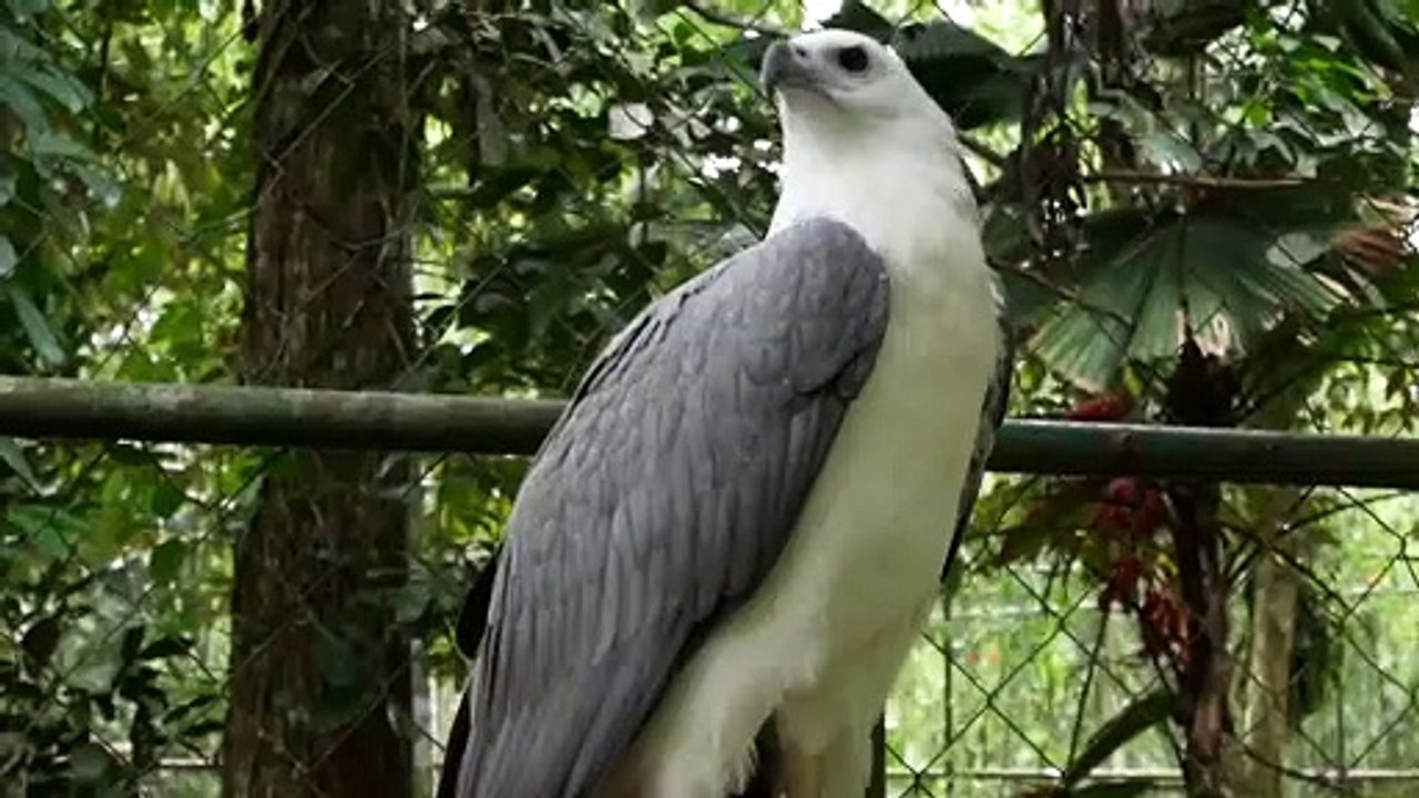 production_id_3995550 (1080p).mp4