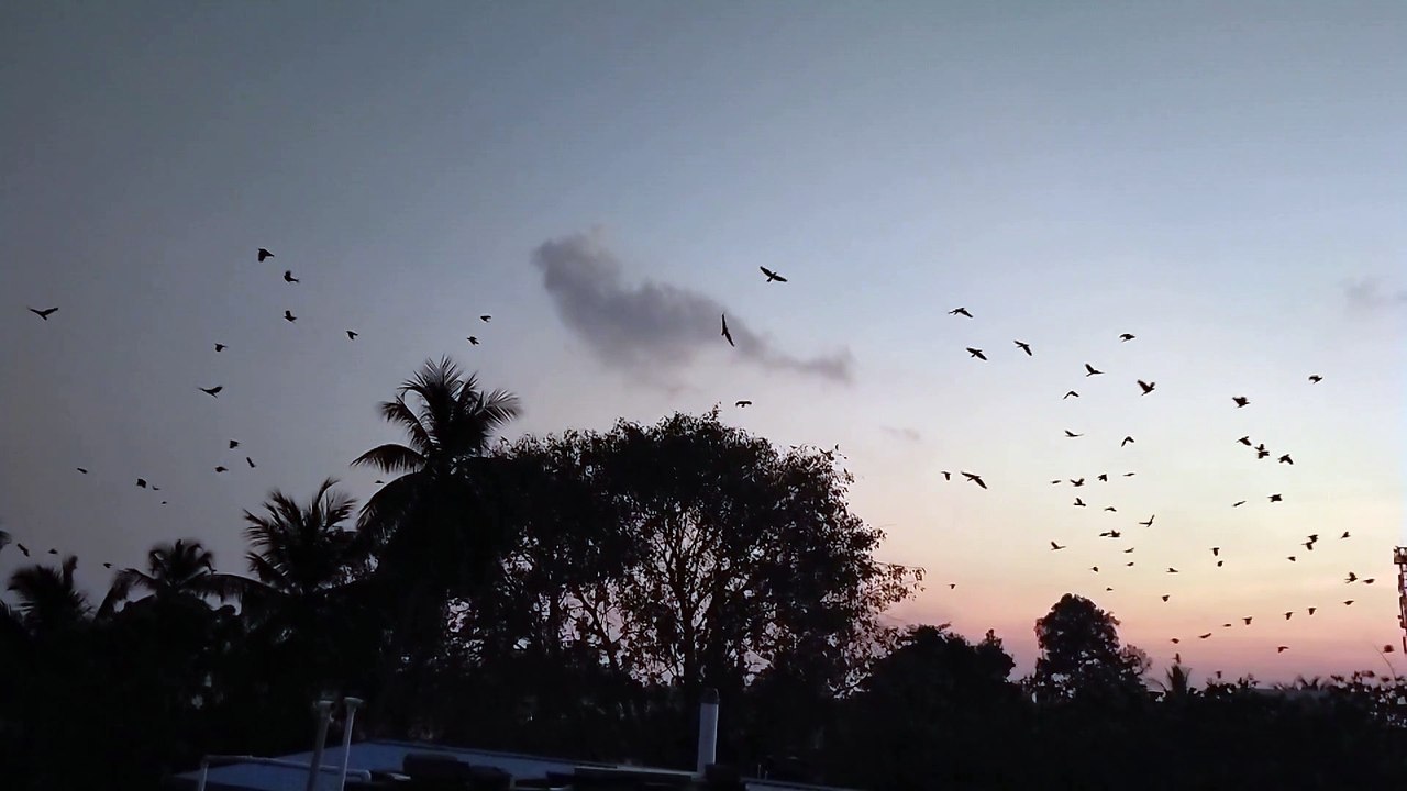 production_id_4148339 (1080p).mp4