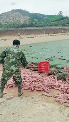 Feeding animals 2023