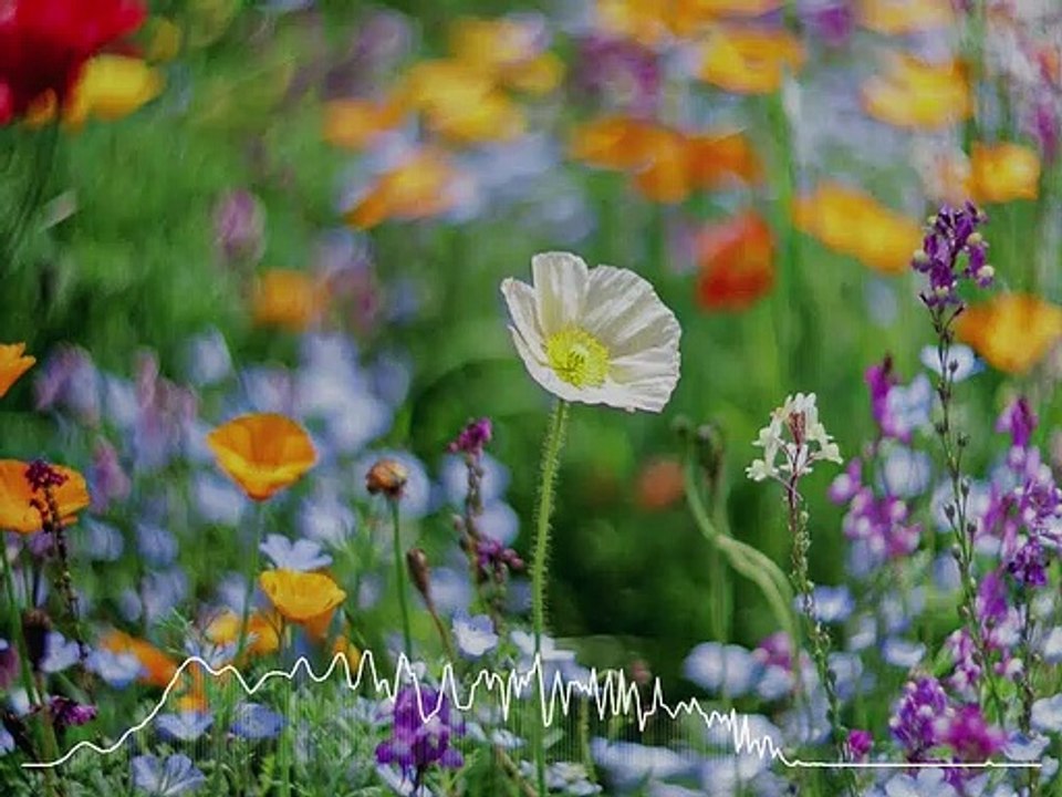 Johann Sebastian Bach Invention in A minor, BWV 784- REMIX-JAZZ PİANO