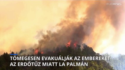 Tömegesen mentik az embereket az erdőtűz elől La Palmán