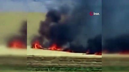 Trafodan çıkan kıvılcım 70 dönümlük ekili alanı kül etti