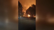 Más de 500 evacuados en el incendio forestal de la isla de la Palma