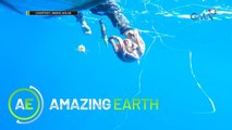 Amazing Earth: An octopus and a fisherman engaged in a tug-of-war battle!