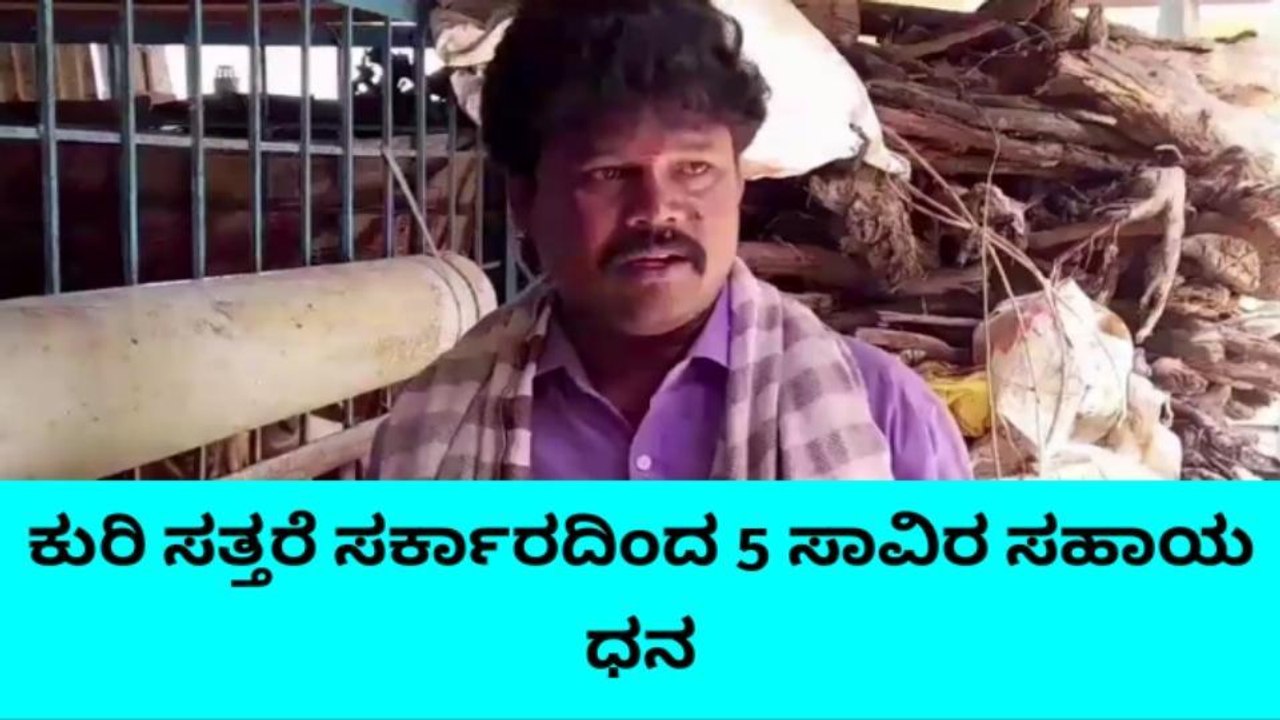 ಕುರಿ ಸಾಕಾಣಿಕೆದಾರರಿಗೆ ಸಿಹಿ ಸುದ್ದಿ ನೀಡಿದ ಸಿಎಂ ಸಿದ್ದು: ಜನರಿಂದ ಮೆಚ್ಚುಗೆ ವ್ಯಕ್ತ