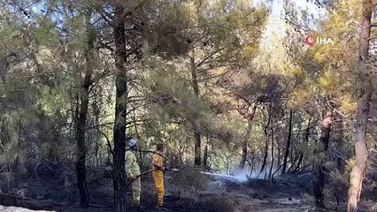 Incendie de forêt à Hatay sous contrôle