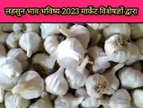 लहसुन भाव भविष्य 2023 !! क्या लहसुन का भाव 25000 रूपए जाएगा 2023 में ?