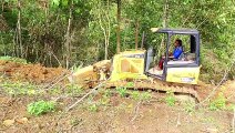 03  CAT D5K XL Bulldozer Working in Large Forest in the Mountains