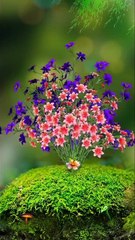 Kitna khobsurat manzar hai