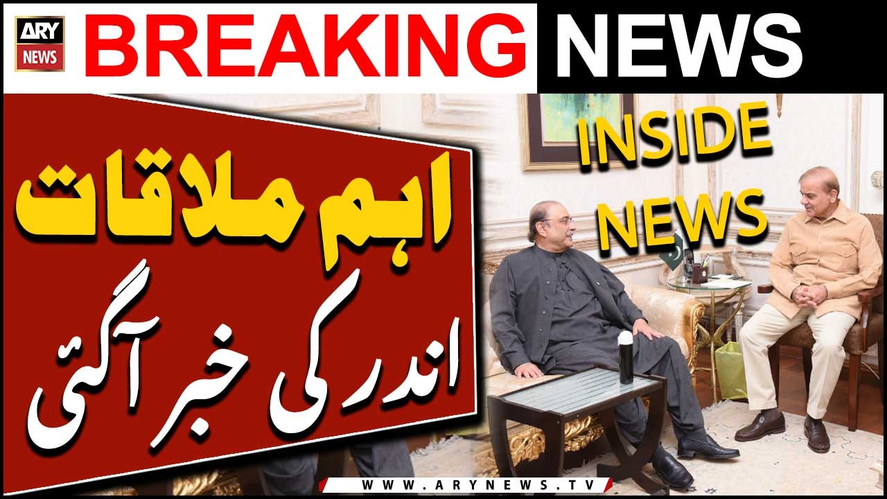 PM Shehbaz assures Zardari of involving ‘allies’ in future political strategy