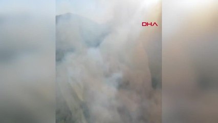 Gökçeada'da Orman Yangını: Havadan ve Karadan Müdahale Devam Ediyor