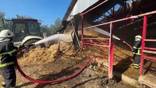 Incendie dans la grange avec 70 bovins： 12 personnes ont été touchées par la fumée