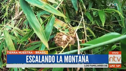 Escalando la montaña rumbo a las cataratas de "Jatoba"