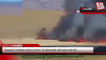Elazığ'da trafodan çıkan kıvılcım 70 dönümlük ekili alanı kül etti