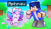 Playing Minecraft as a Magical FAIRY Kitten!