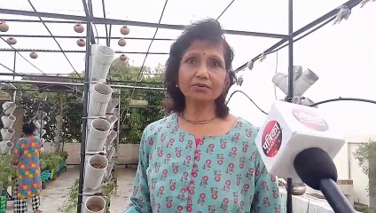 Plants को स्वस्थ रखने के लिए डाल रहे एलोवेरा, हल्दी का पानी और छाछ
