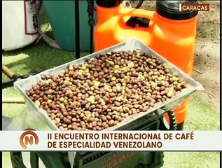 Productores exaltan la ardua labor que llevan a cabo para aportar en el impulso económico del país