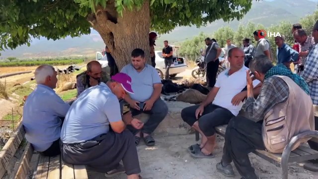 77 moutons et chèvres sont morts à Hatay après avoir bu de l'eau mélangée à des pesticides