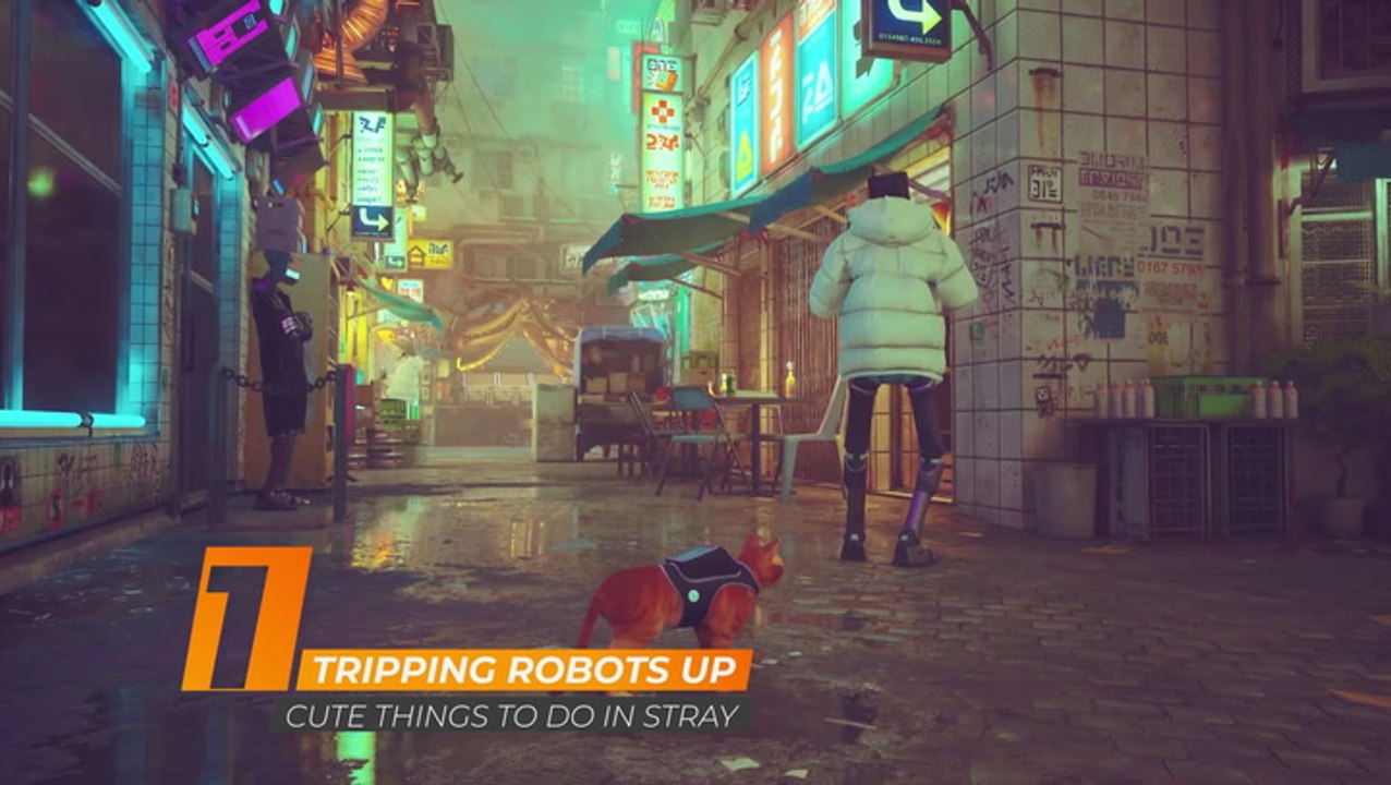 The Cutest Things To Do In Stray