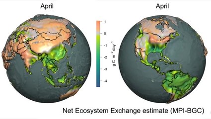 Earth's Annual CO2 Levels