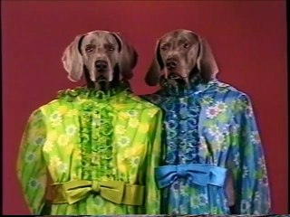 Sesame Street Presents: William Wegman’s Mother Goose (1997) (Full Video VHS HQ)