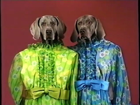Sesame Street Presents: William Wegman’s Mother Goose (1997) (Full Video VHS High Quality)