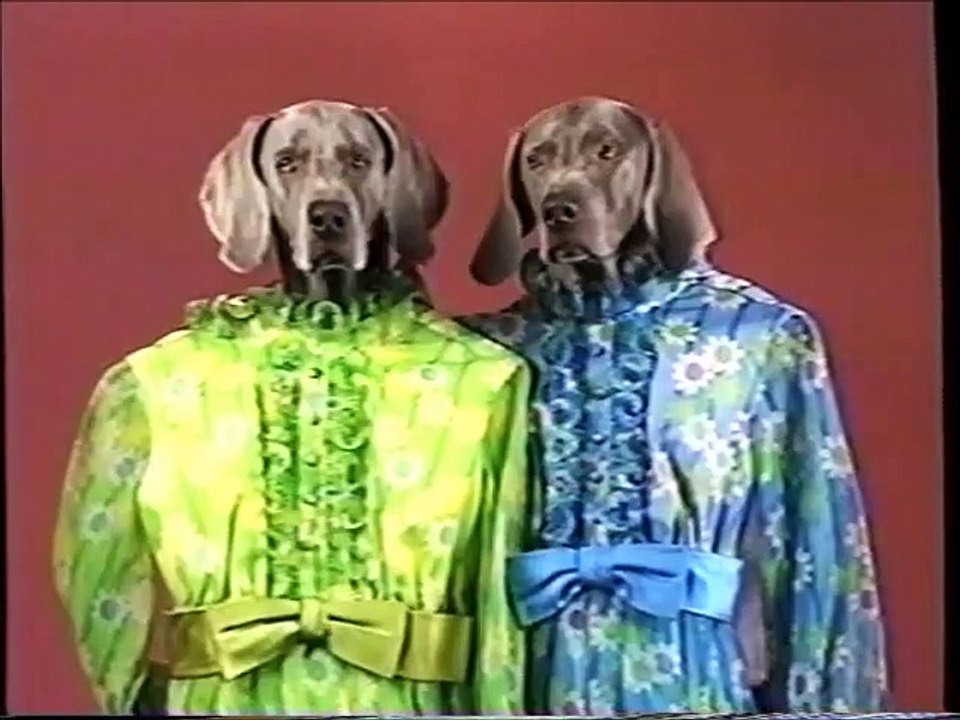 Sesame Street Presents: William Wegman’s Mother Goose (1997) (Full VHS High Quality)