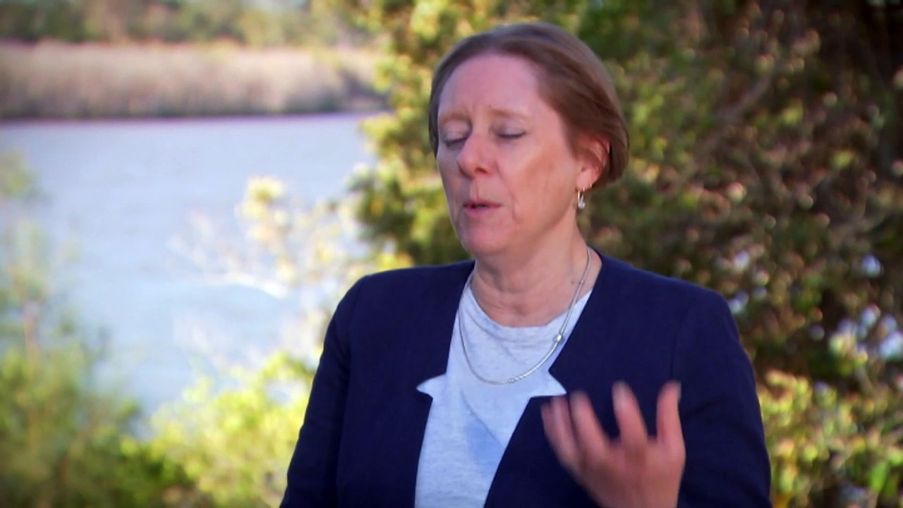 Outback waters bring new life to far west Qld’s Channel Country