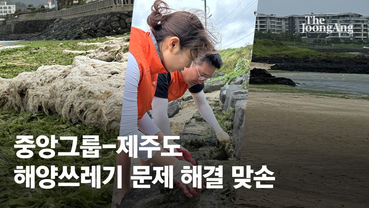 골칫거리 구멍갈파래 제거...중앙그룹-제주도 연안 정화활동 맞손