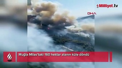 Orman yangınlarının biri sönüyor diğeri başlıyor
